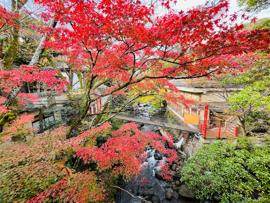 f:id:MantA:20240123214206j:image