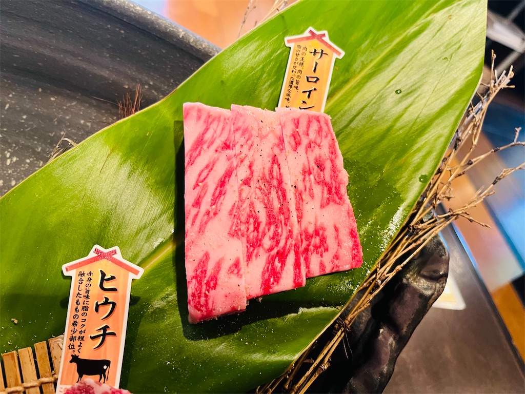 f:id:MantA:20240429175831j:image f:id:MantA:20240429175831j:image