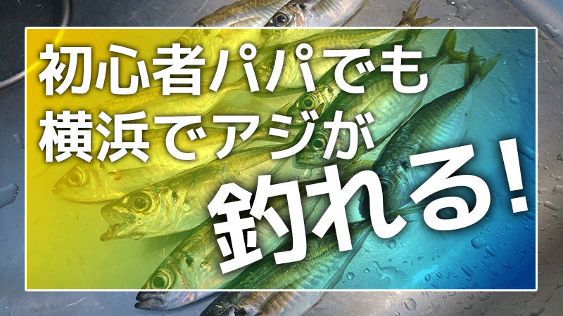 釣り 初心者でも横浜界隈でアジが釣れる3つの条件 こぐとすすむ