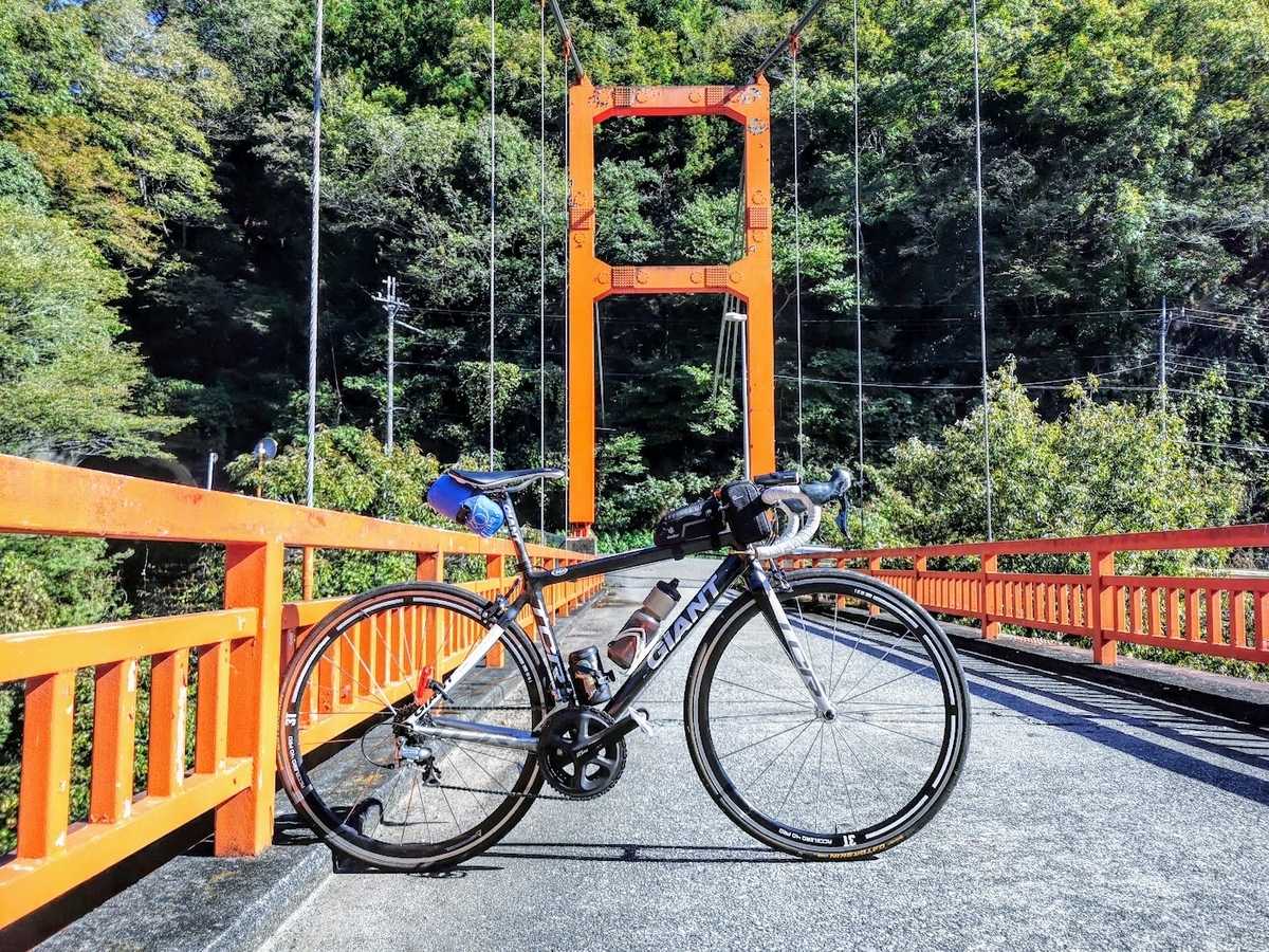 大人気】マルフジ トリックサビキ トリックエース夜光 8号 6号 合計 