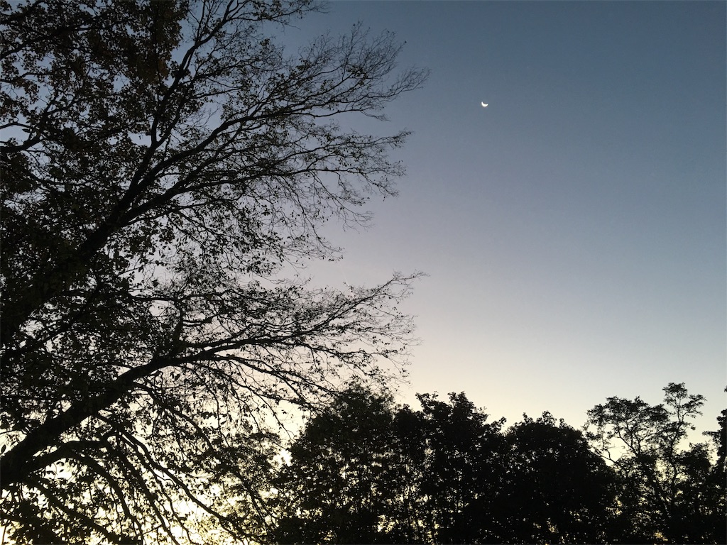 f:id:MaoLamdo:20181027042129j:image f:id:MaoLamdo:20181027042129j:image