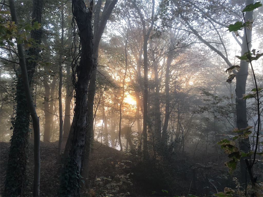 f:id:MaoLamdo:20181119003625j:image