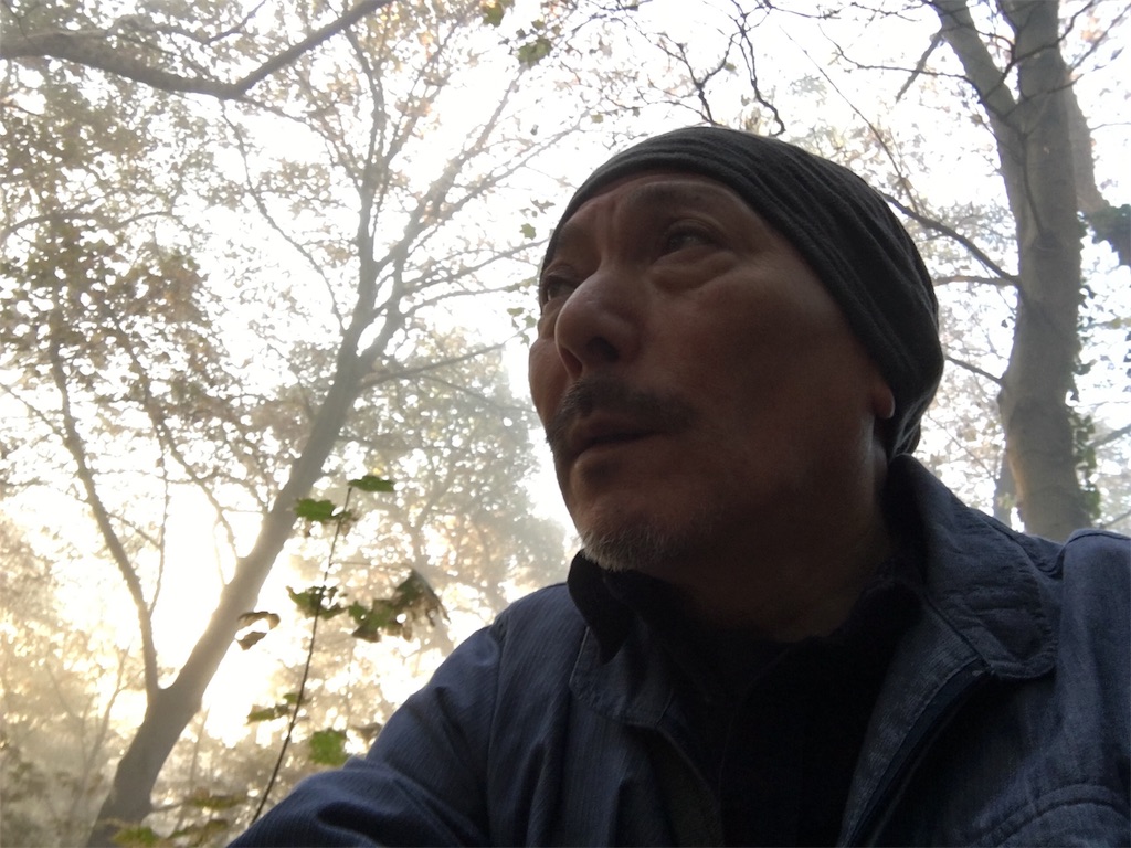 f:id:MaoLamdo:20181119003628j:image