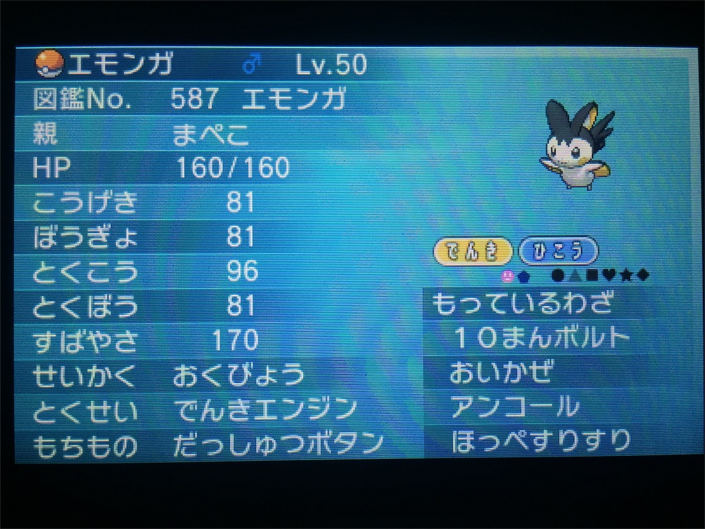 抽選パできました ガチにわか勢によるポケモンブログ 抽選パできました ガチにわか勢によるポケモンブログ