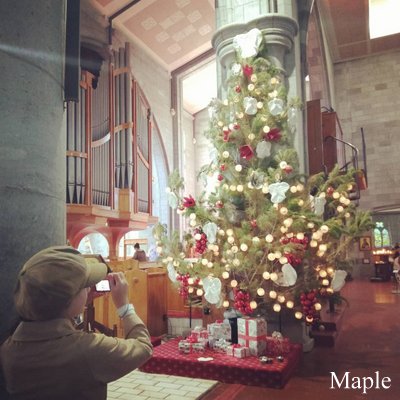 f:id:MapleNelson:20200102124639j:plain