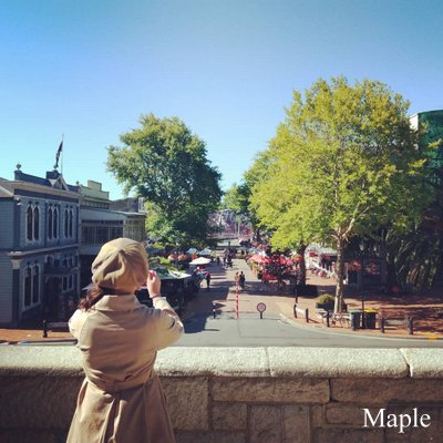 f:id:MapleNelson:20200102131814j:plain