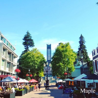 f:id:MapleNelson:20200102132013j:plain