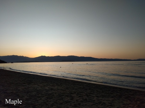 f:id:MapleNelson:20200125204105j:plain