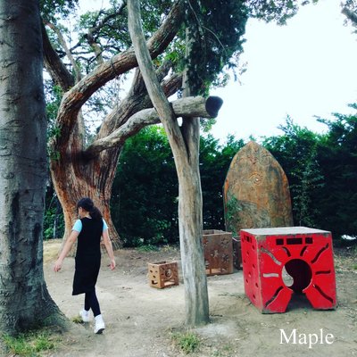 f:id:MapleNelson:20200125212413j:plain