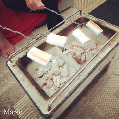 f:id:MapleNelson:20200304194745j:plain