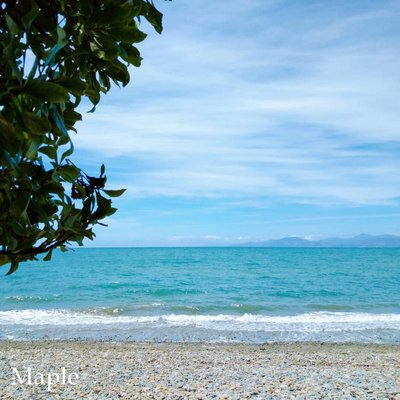 f:id:MapleNelson:20210104091315j:plain