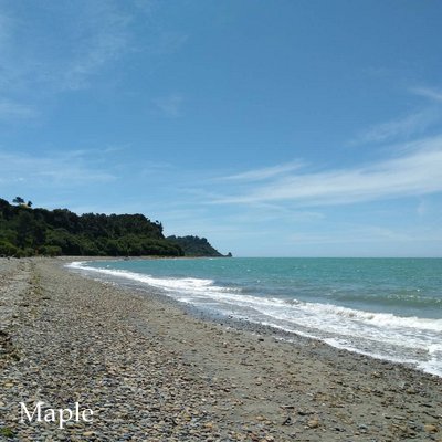 f:id:MapleNelson:20210104091611j:plain