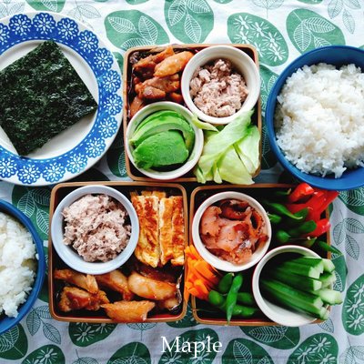 f:id:MapleNelson:20210104092428j:plain