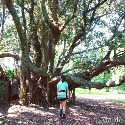 f:id:MapleNelson:20210105181307j:plain