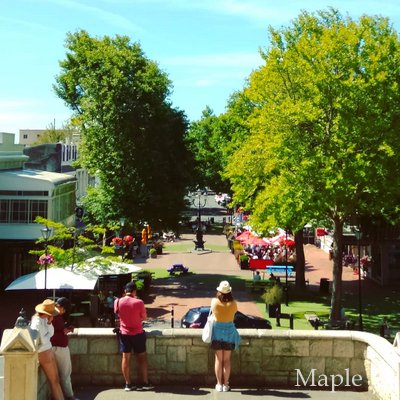 f:id:MapleNelson:20210105181551j:plain