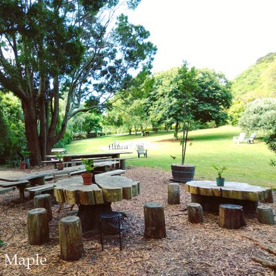 f:id:MapleNelson:20210225082422j:plain