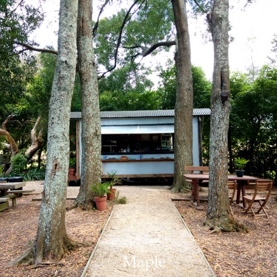 f:id:MapleNelson:20210225082445j:plain