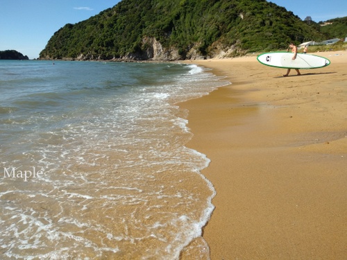 f:id:MapleNelson:20210225092022j:plain