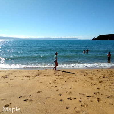 f:id:MapleNelson:20210225092221j:plain