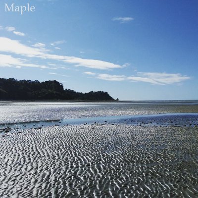 f:id:MapleNelson:20210928055519j:plain