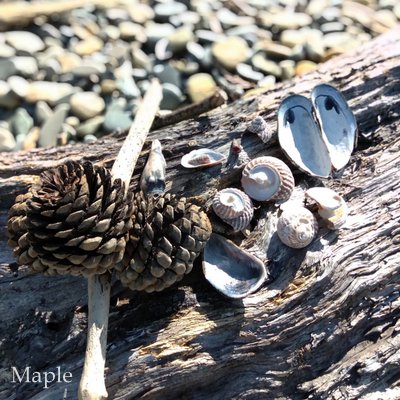 f:id:MapleNelson:20210928055628j:plain