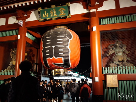 f:id:MapleNelson:20211026150712j:plain