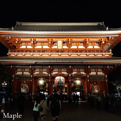 f:id:MapleNelson:20211026150752j:plain