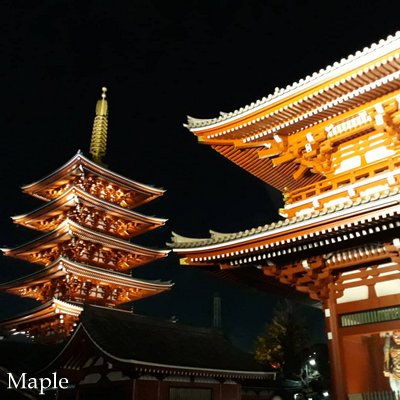 f:id:MapleNelson:20211026151418j:plain