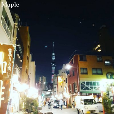 f:id:MapleNelson:20211026151449j:plain