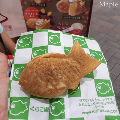 f:id:MapleNelson:20211026151553j:plain