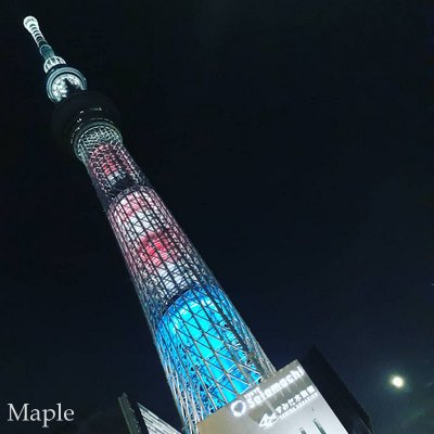 f:id:MapleNelson:20211026151804j:plain