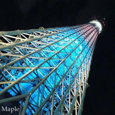 f:id:MapleNelson:20211026151901j:plain