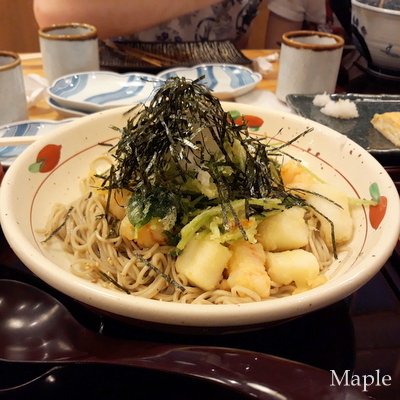 f:id:MapleNelson:20211029201159j:plain