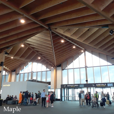 f:id:MapleNelson:20211029210056j:plain