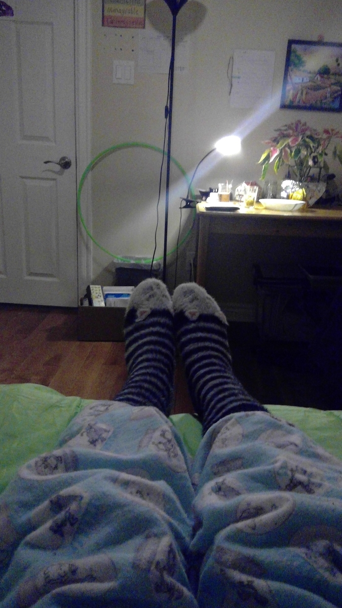 f:id:MapleSummerhouse:20201223112510j:plain