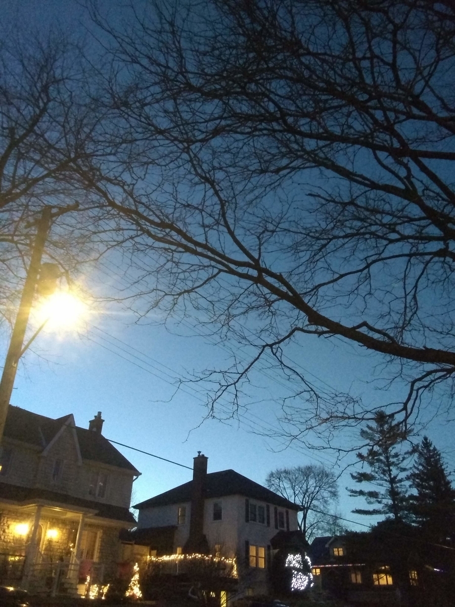 f:id:MapleSummerhouse:20201223112917j:plain
