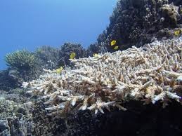 f:id:Mapple:20150410044839j:image:left f:id:Mapple:20150410044839j:image:left