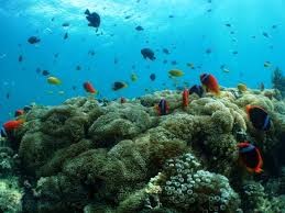 f:id:Mapple:20150410044939j:image:right f:id:Mapple:20150410044939j:image:right