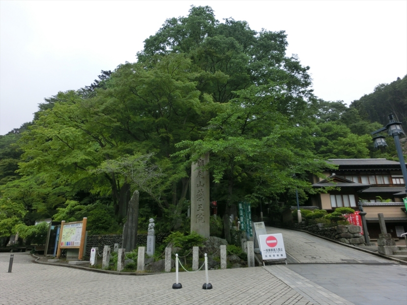 f:id:Margatroid:20160228152928j:plain f:id:Margatroid:20160228152928j:plain