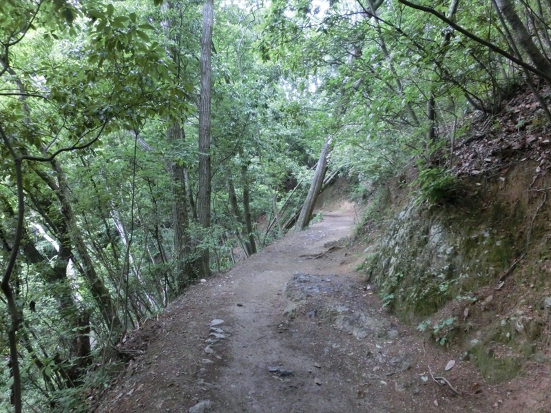 f:id:Margatroid:20160228152931j:plain f:id:Margatroid:20160228152931j:plain