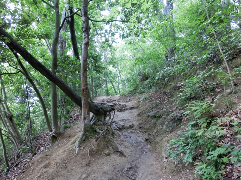 f:id:Margatroid:20160228152932j:plain f:id:Margatroid:20160228152932j:plain