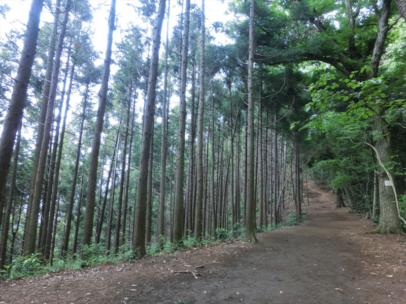 f:id:Margatroid:20160228152937j:plain f:id:Margatroid:20160228152937j:plain