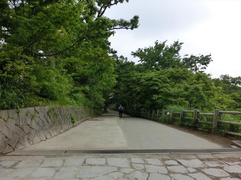 f:id:Margatroid:20160228152945j:plain f:id:Margatroid:20160228152945j:plain