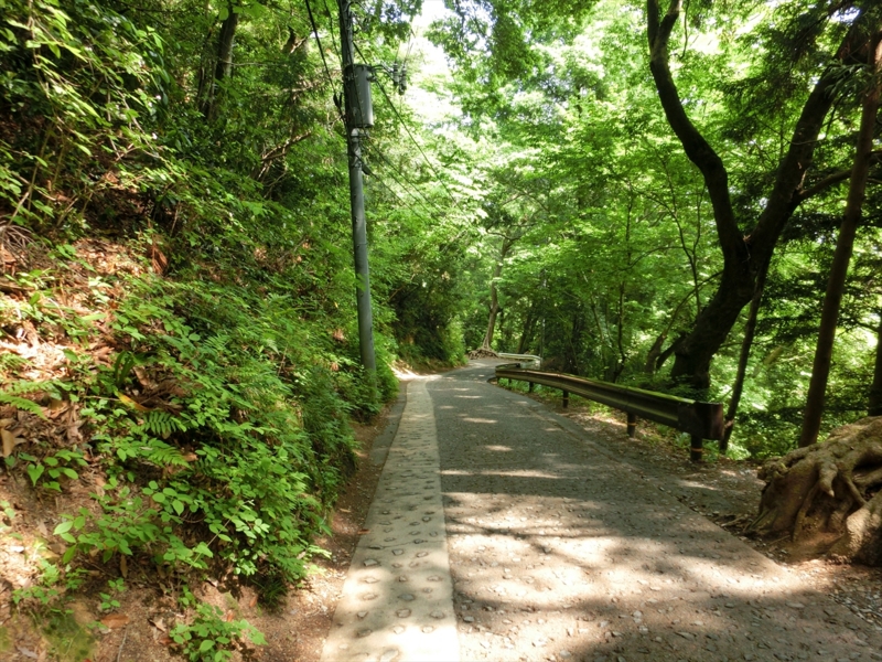 f:id:Margatroid:20160228152955j:plain f:id:Margatroid:20160228152955j:plain