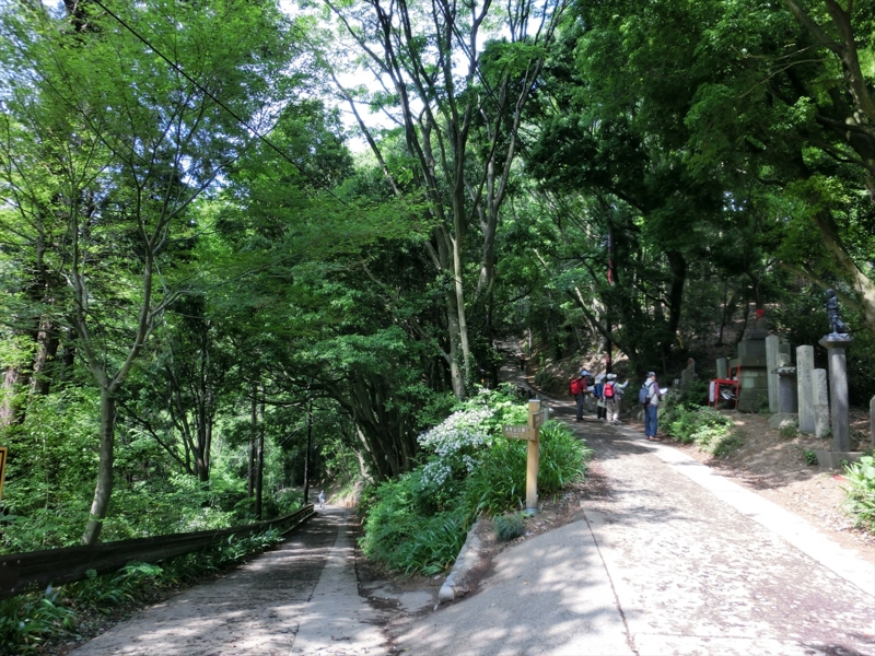 f:id:Margatroid:20160228152956j:plain f:id:Margatroid:20160228152956j:plain