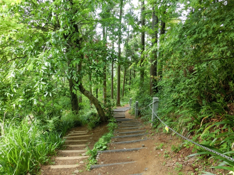 f:id:Margatroid:20160228152958j:plain f:id:Margatroid:20160228152958j:plain