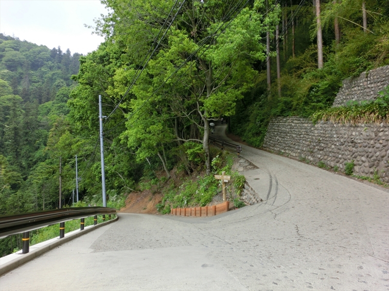 f:id:Margatroid:20160228152959j:plain f:id:Margatroid:20160228152959j:plain