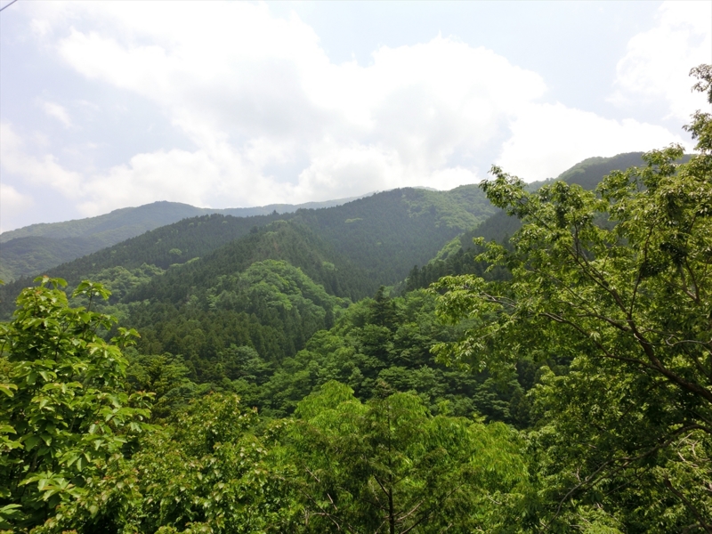 f:id:Margatroid:20160228153012j:plain f:id:Margatroid:20160228153012j:plain