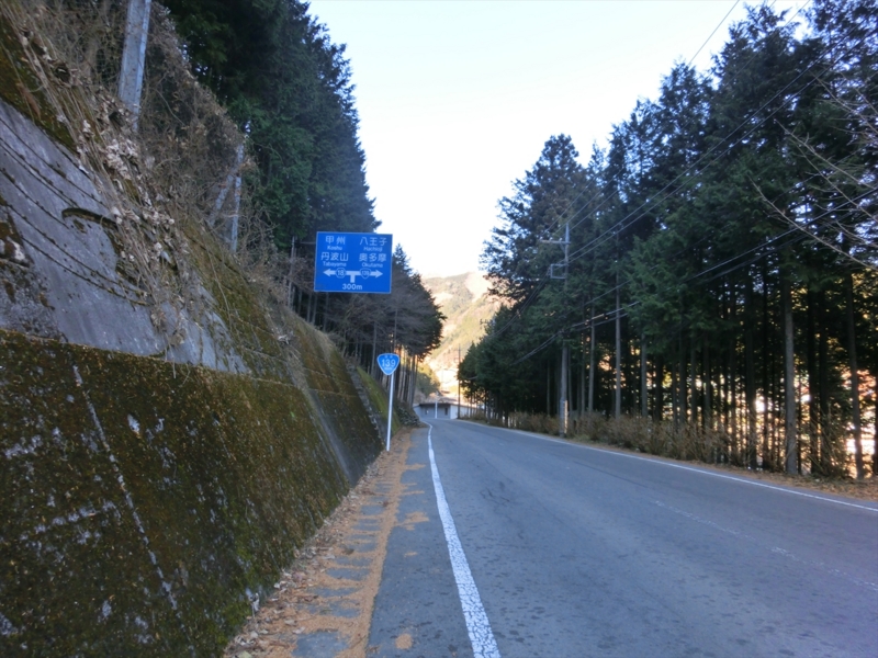 f:id:Margatroid:20160228181758j:plain