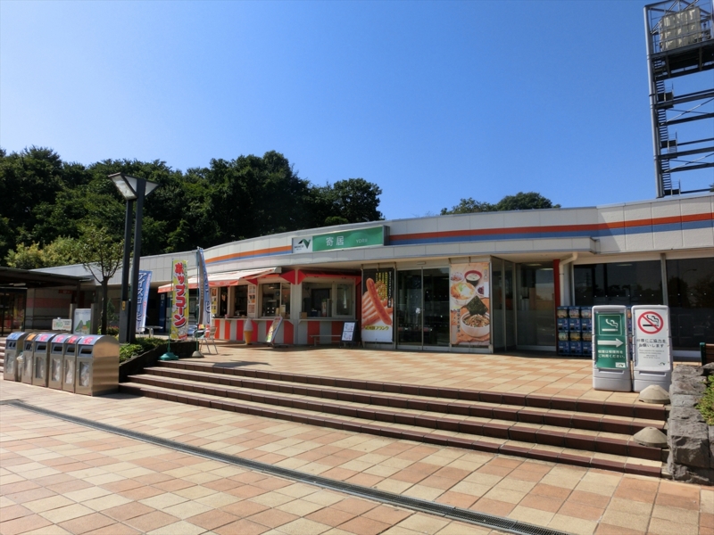 f:id:Margatroid:20160309144225j:plain